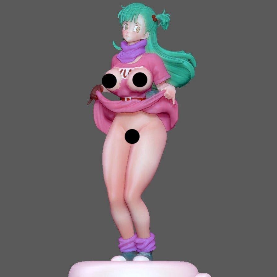 NSFW Resin Anime Figure: Bulma Adult Anime Miniature – Threedtreasury 18+  NSFW 3D Printed Resin Miniatures