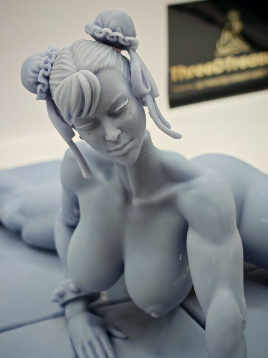 Chun Li NSFW Resin Figure, Resin printed Naked miniature Nude Garage Kit –  Threedtreasury 18+ NSFW 3D Printed Resin Miniatures