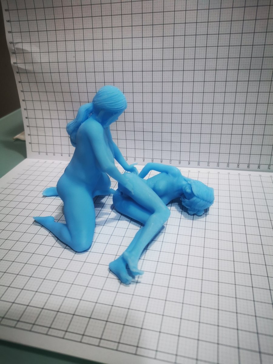 Harri & Lacie Push it deeper | 3D Printed | Fanart | Unpainted | NSFW Version | Figurine | Figure | Miniature | Sexy |