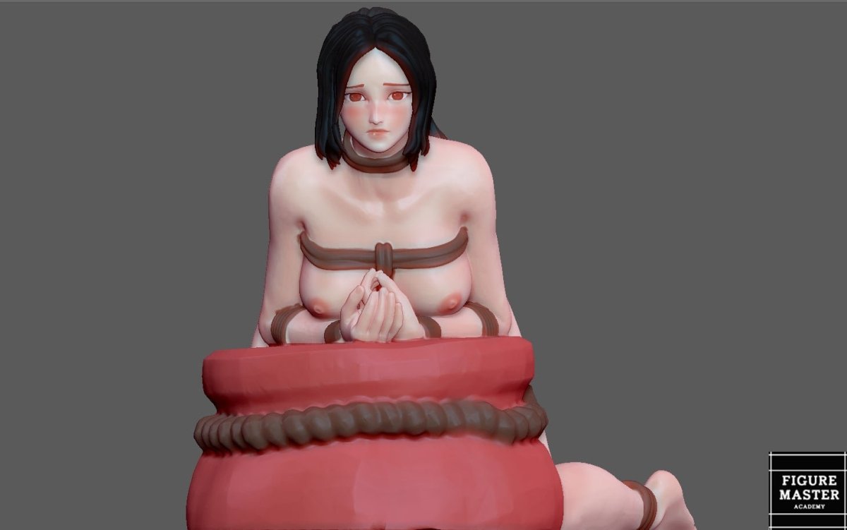 Li Mei 3 NSFW 3D Printed Fanart Anime Figurine Waifu Figure by FIGUREMASTERPINK