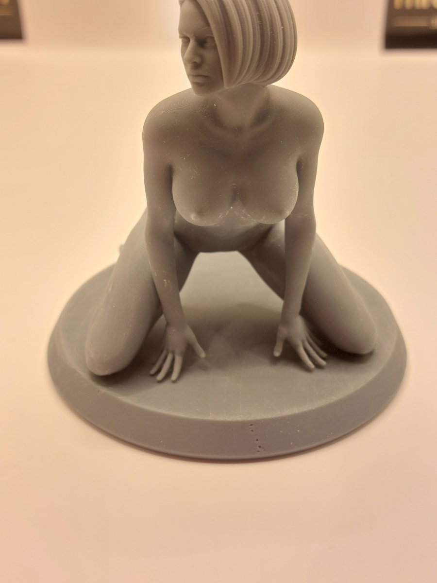 NSFW Resin Miniature JILL VALENTINE NSFW 3D Printed Figurine Fanart Unpainted Miniature