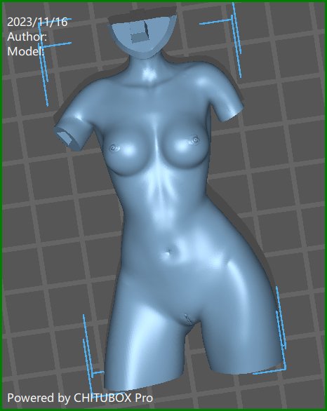 Ryuu NSFW Anime Figure 3D Printed , Unpainted , Naked Figurine , Sexy Miniature , Bondage figure , Naked Waifu