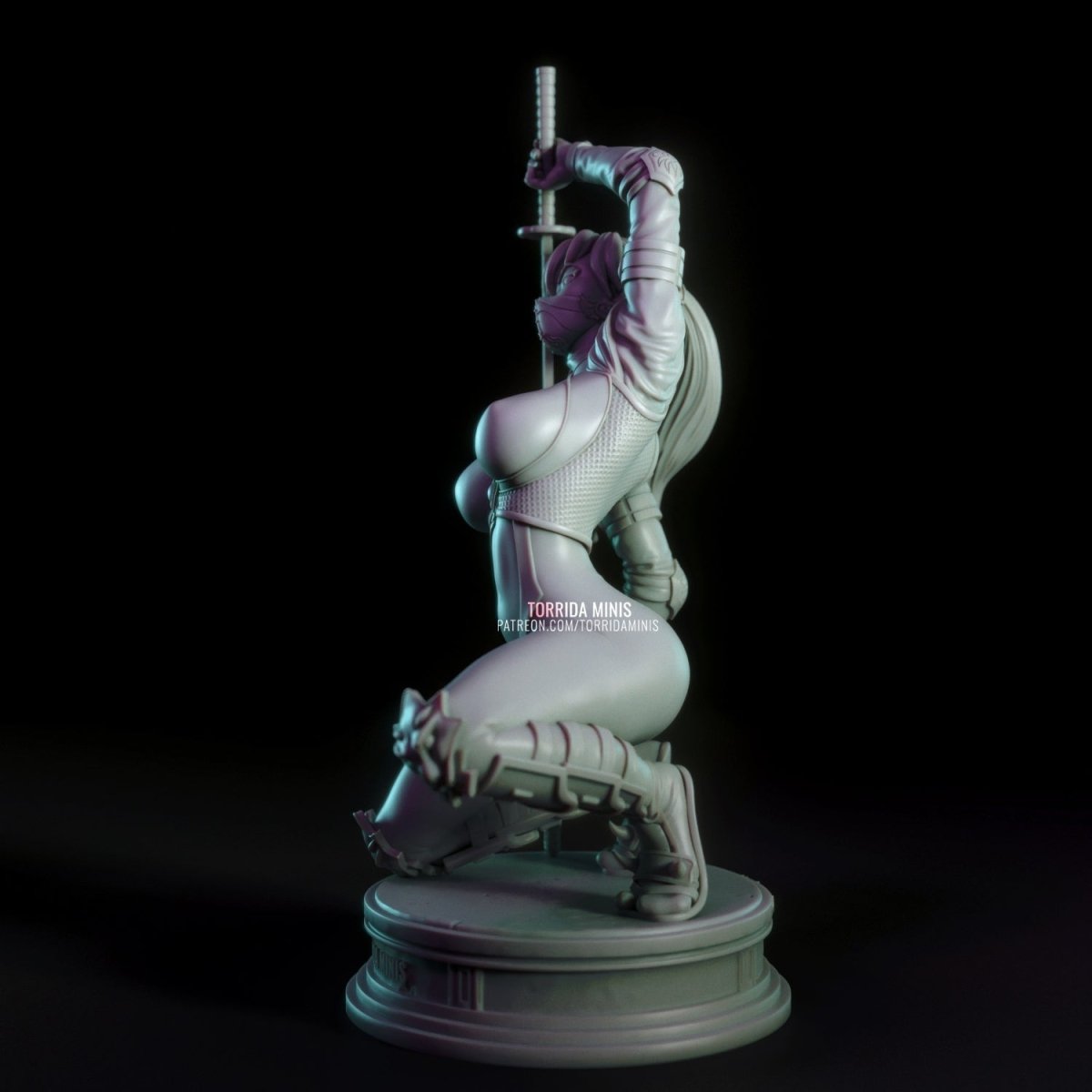 Sara Ninja Girl NSFW 3d Printed miniature FanArt by Torrida