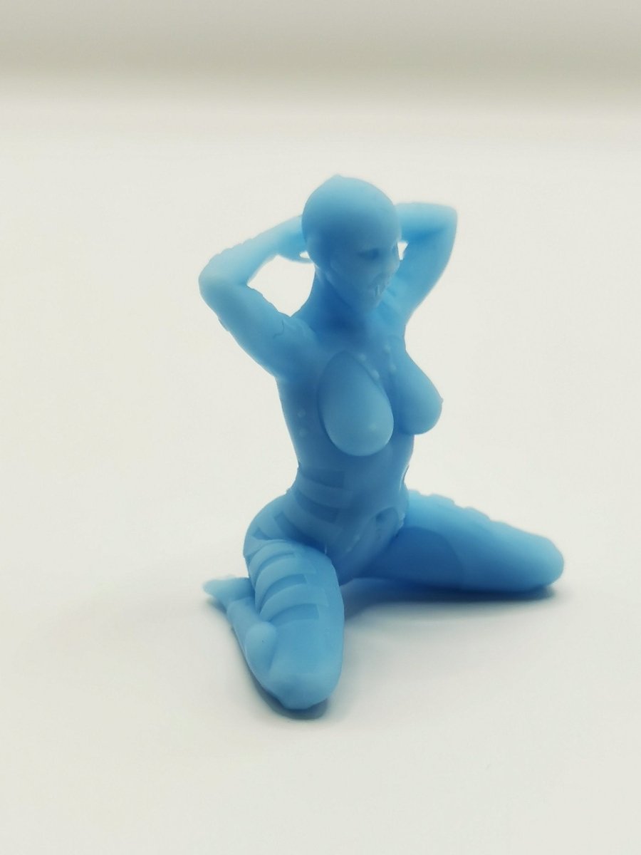 Sky Bondage | 3D Printed | Fanart | Unpainted | NSFW Version | Figurine | Figure | Miniature | Sexy |